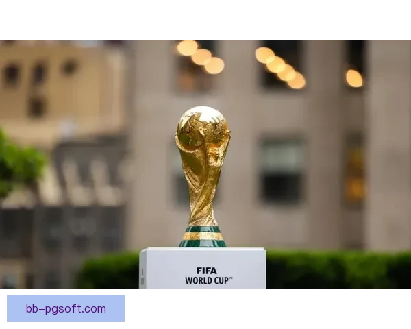 澳大利亚足协宣布放弃申办 2034 年世界杯 沙特成为唯一竞标者